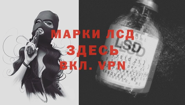 стаф Липки